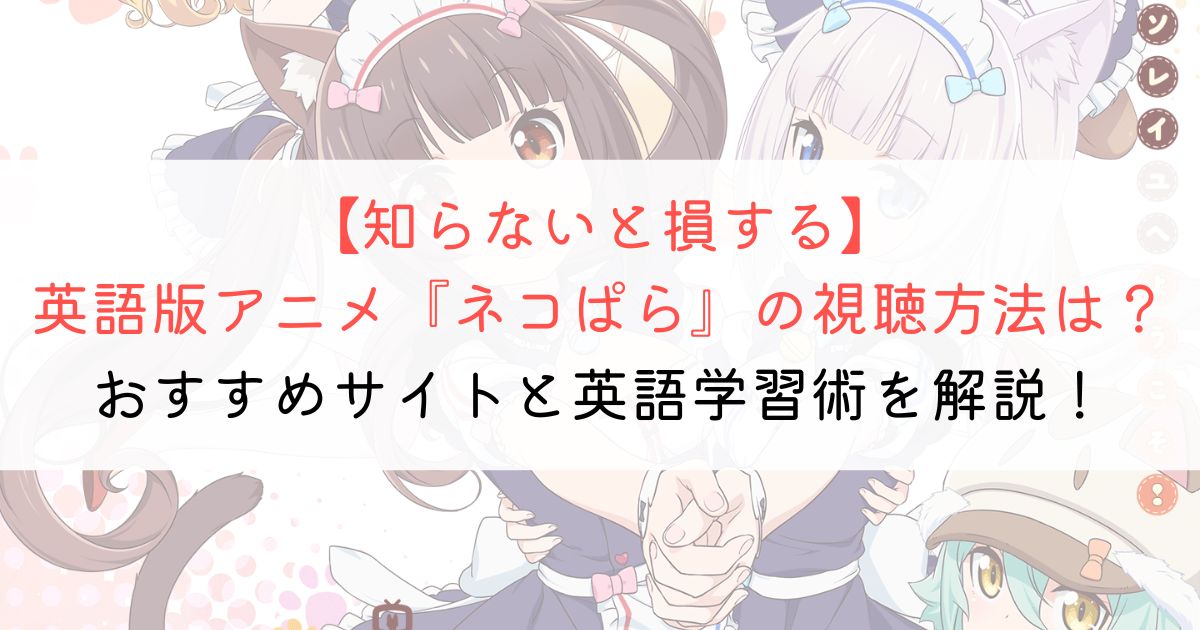 『ネコぱら』の英語タイトルと英語版アニメの視聴方法とは？